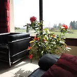 B&B Touloumo *