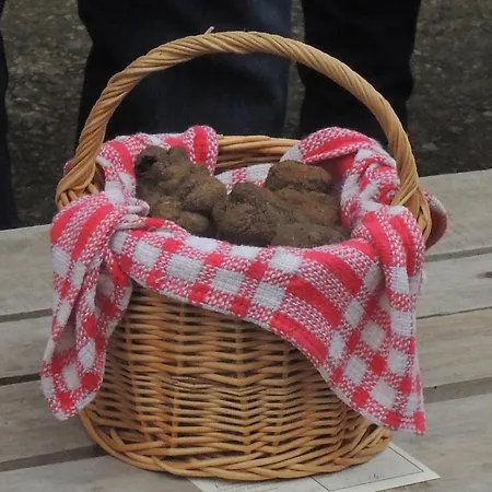 Bed & Breakfast Touloumo